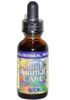 Azmira Goldenseal Root Extract 1oz