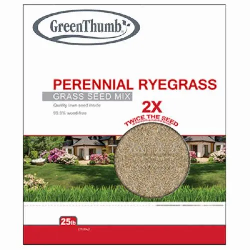 Barenbrug GTPRG25 25 LB Bag of Perennial Ryegrass Seed Mix - Quantity of 2
