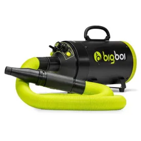 BIGBOI BLOWR MINI TOUCHLESS CAR BLOWER DRYER