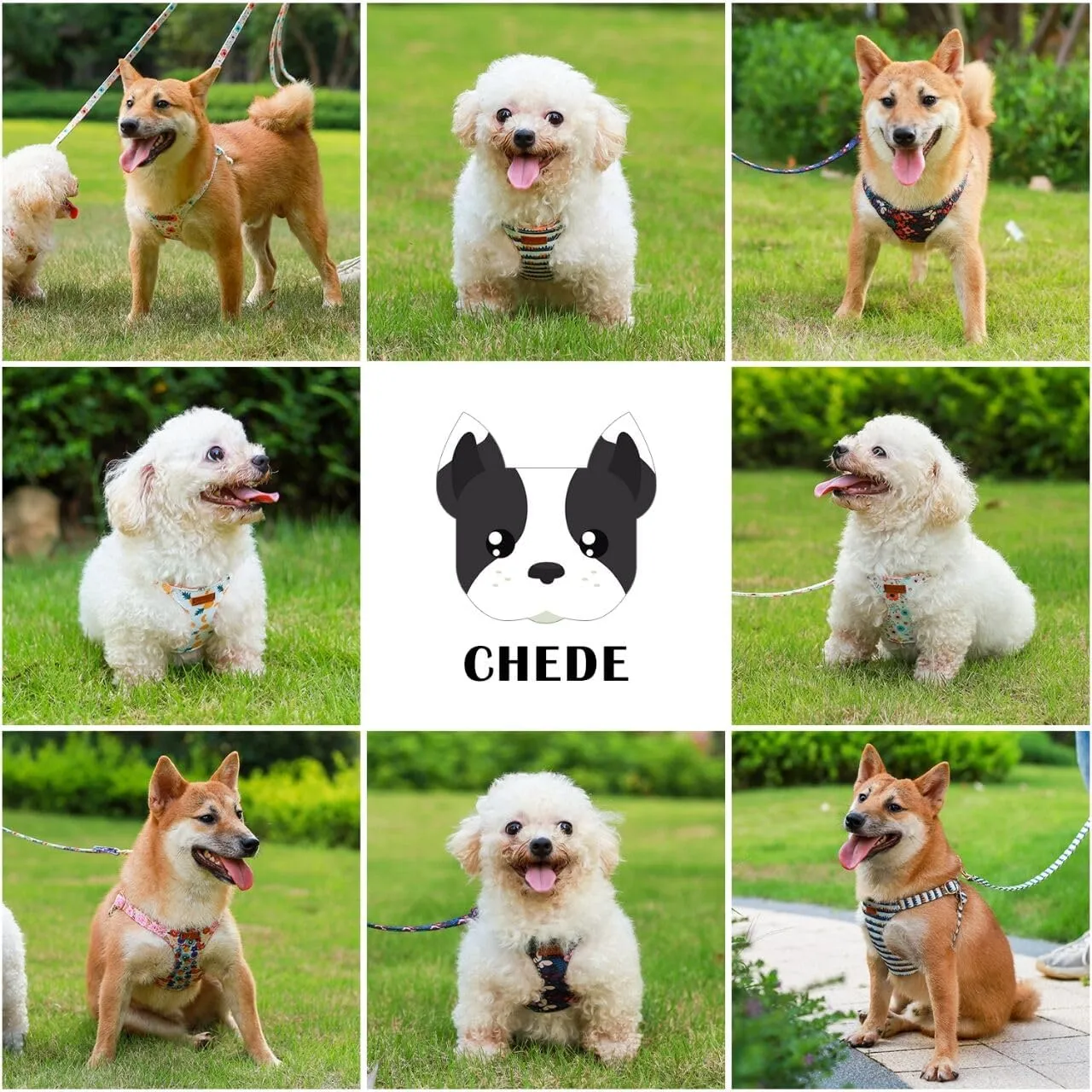 CHEDE No Pull Floral Pattern Dog Harness- Lightweight and Soft Dog Harness, Adjustable Small Dog Harness and Leash Set, with Dog Leash, Suitable for Puppy Small and Medium-Sized Dog
