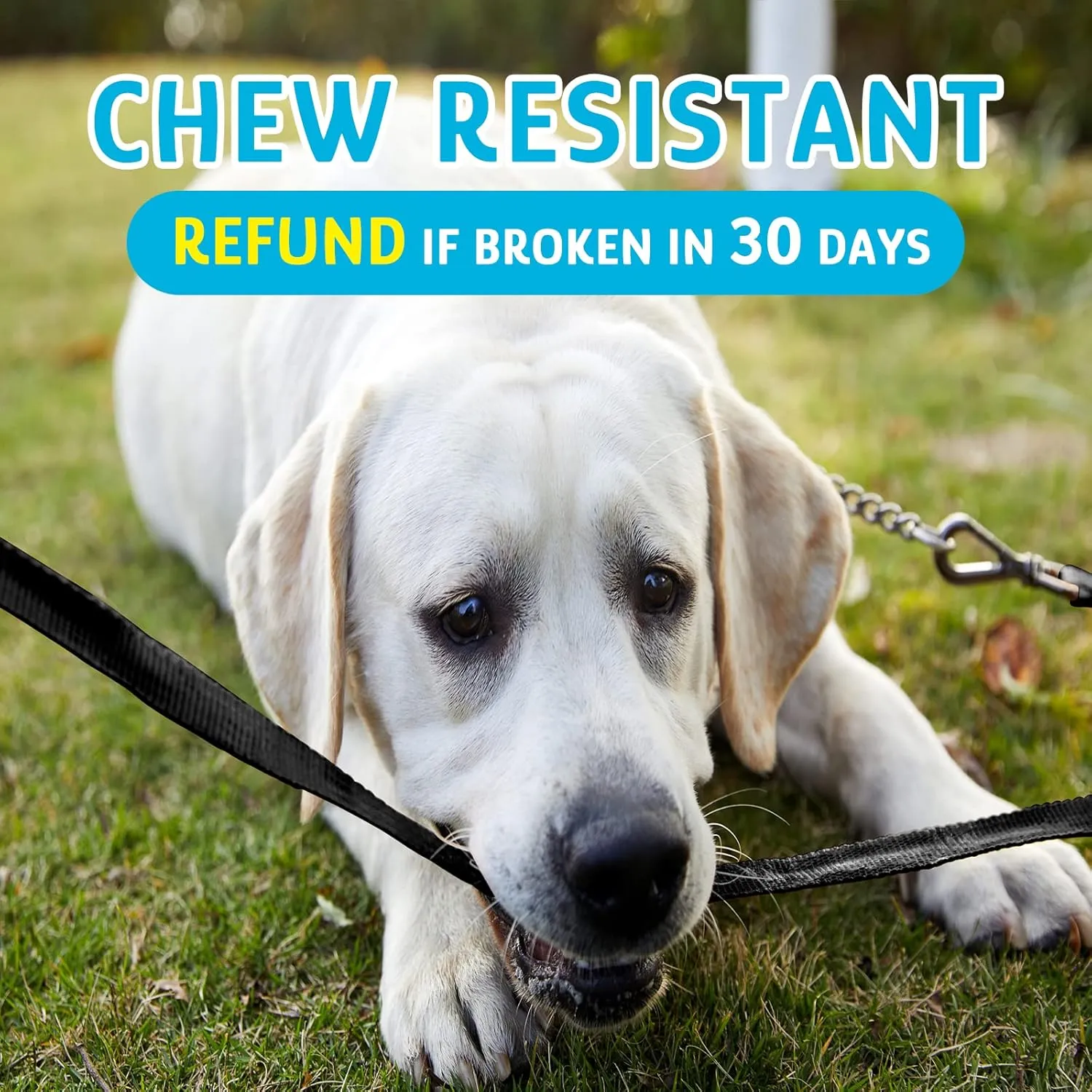 Chew Resistant, Float on Water Dog Training Leash, Wear-Resistant Leashes, Heavy Duty Hook Safe Handle Long Lead for Dogs-15ft 20ft 30ft 40ft 50ft for Large Medium Small Pets Dogs - Black 20ft