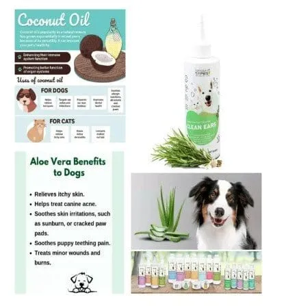Clean Ears – Ear Cleanser