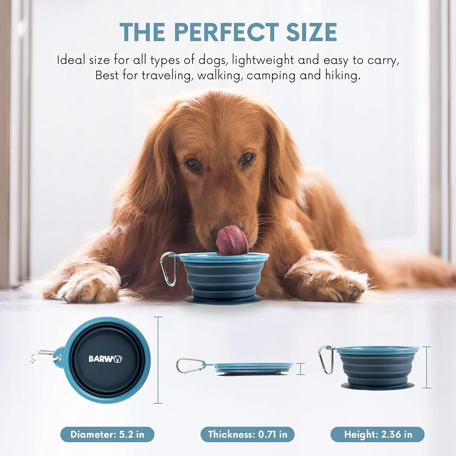 Collapsible Dog Bowl with Non Skid Suction Base -100% Pure Silicone Foldable Water Bowl, Portable Dog Bowl for Travel, Hiking & Camping 350mL 1 Piece