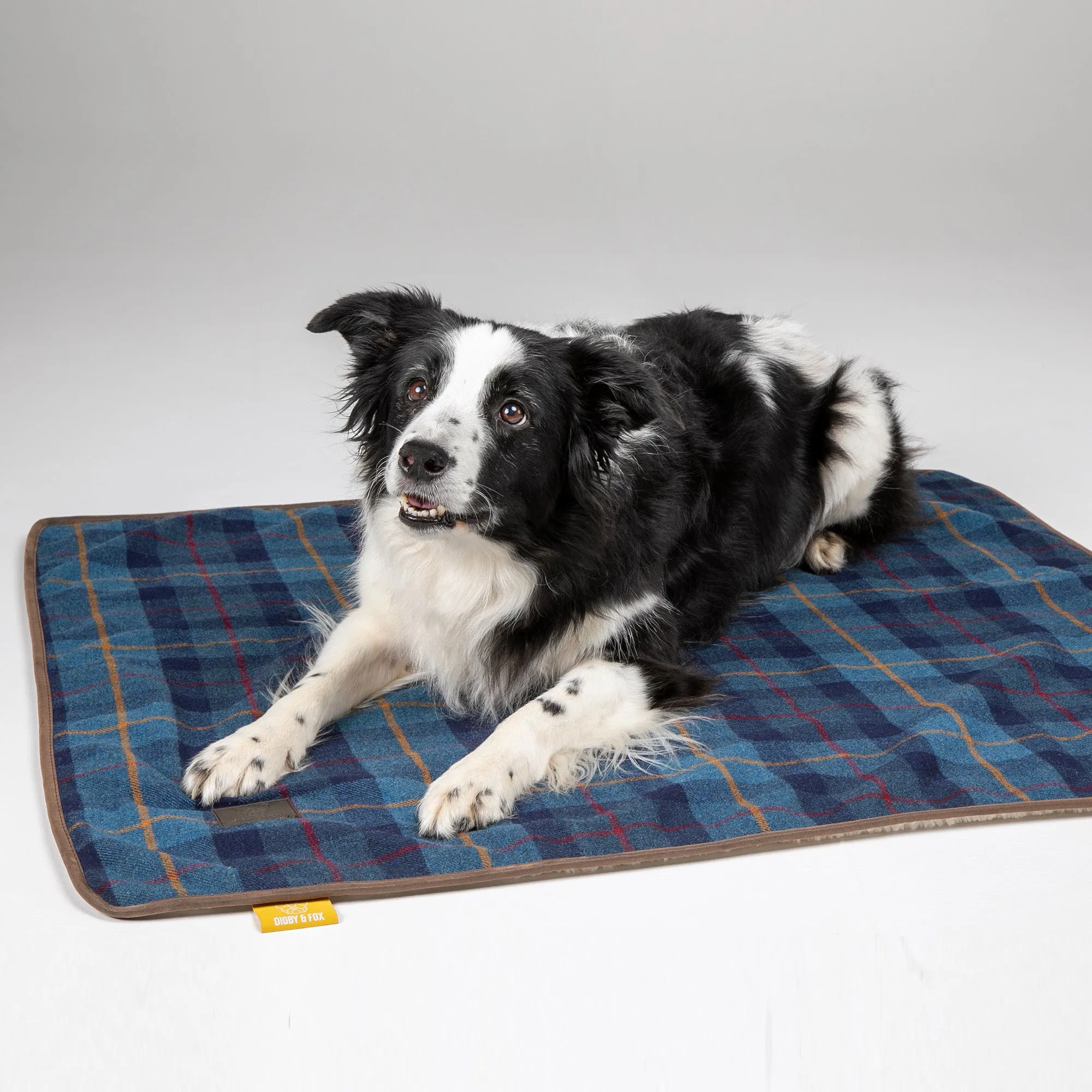 Digby & Fox Tweed Dog Blanket - Navy