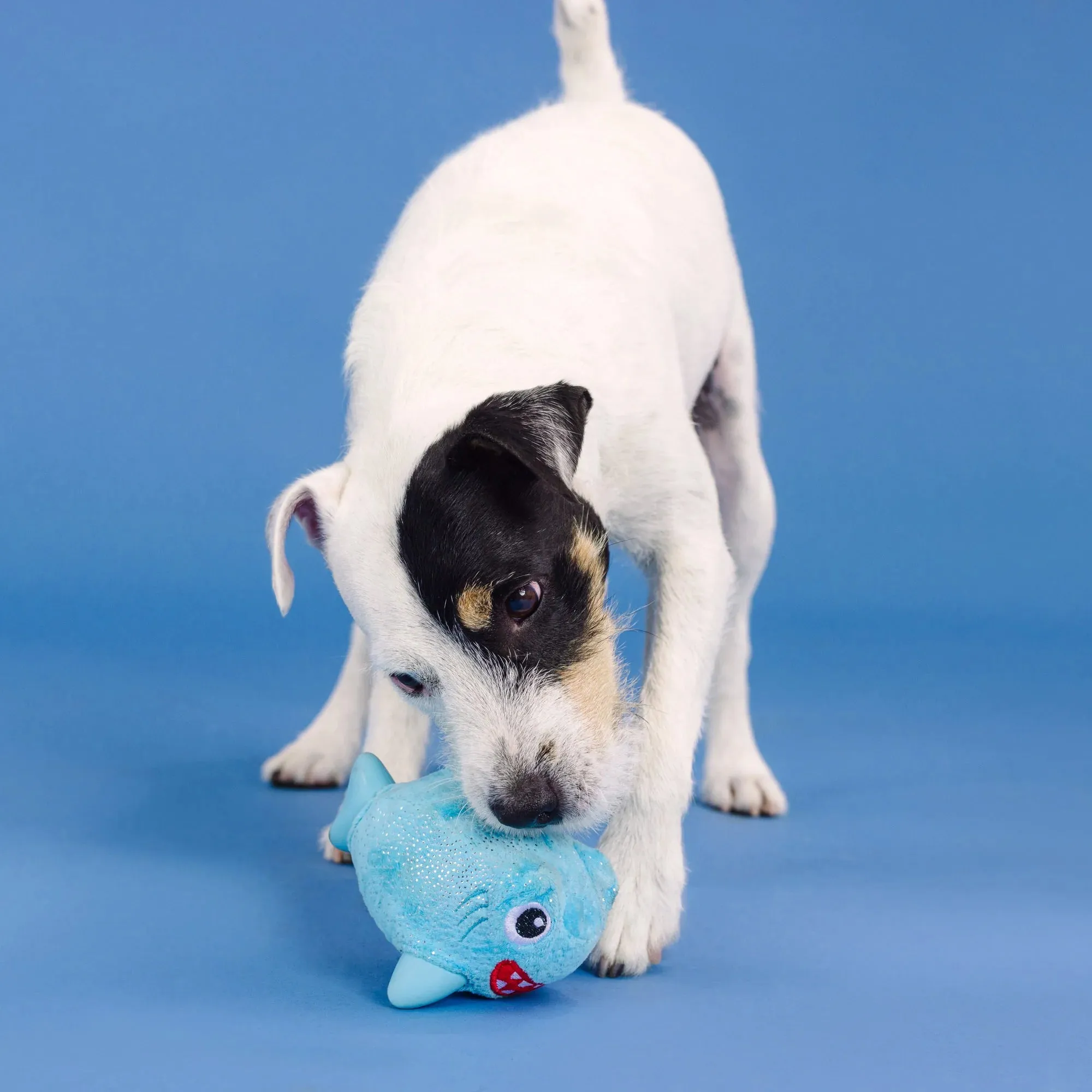 Fringe Dog Toy Rubber/Plush Out of the Blue