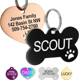 GoTags Stainless Steel Pet ID Tags with Paw Cutout, Personalized Dog Tags and Cat Tags, up to 6 Lines of Custom Text, Engraved on Both Sides in Bone, Round, and Heart (Bone, Regular)