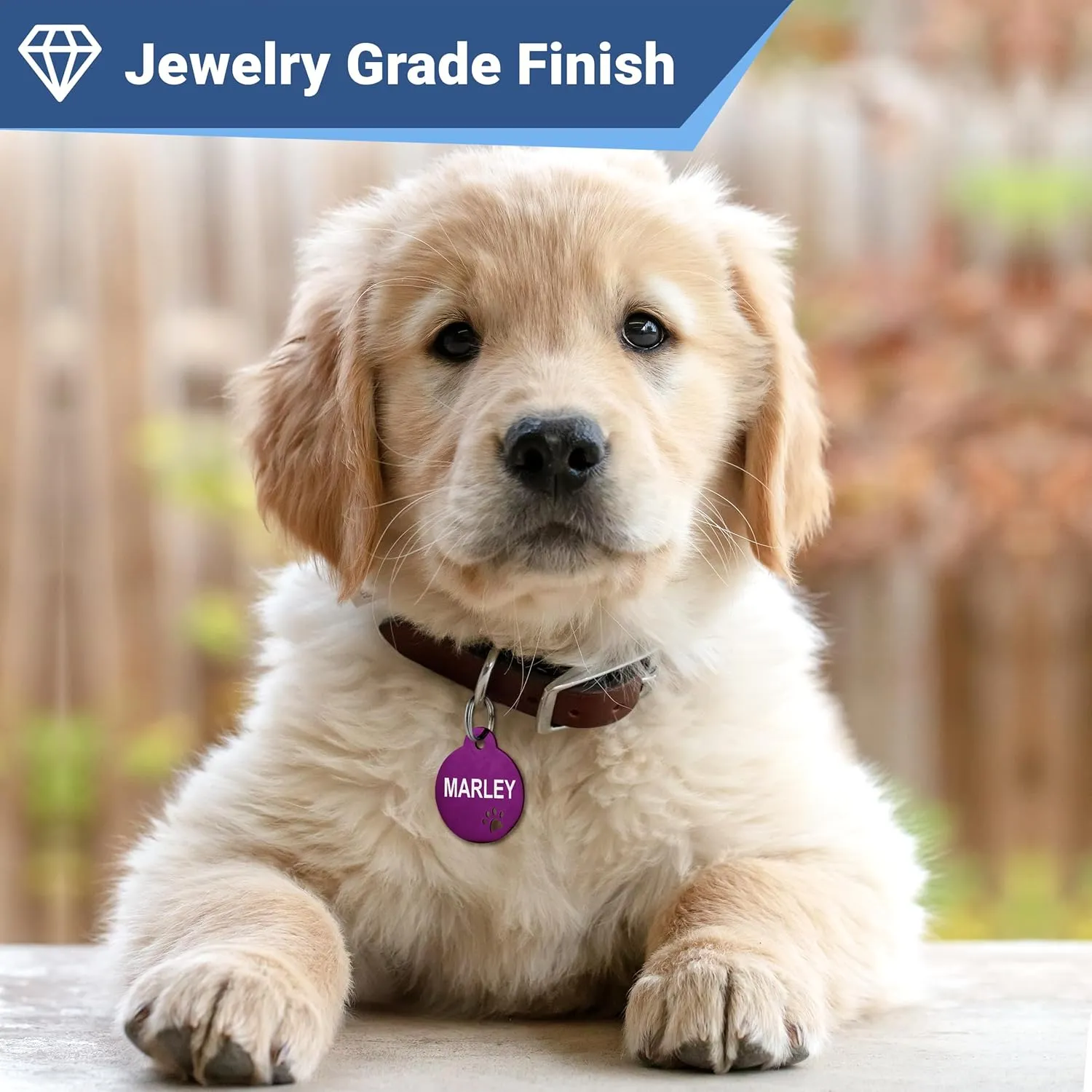GoTags Stainless Steel Pet ID Tags with Paw Cutout, Personalized Dog Tags and Cat Tags, up to 6 Lines of Custom Text, Engraved on Both Sides in Bone, Round, and Heart (Bone, Regular)