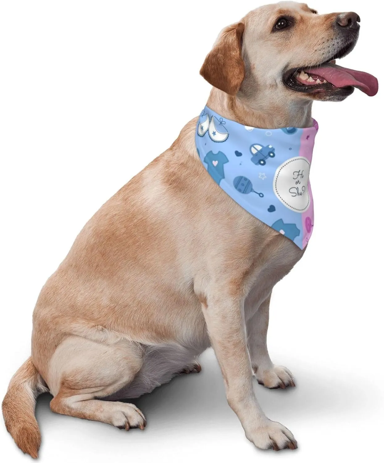 He Or She What Will It Be? Gender Reveal/Baby Announcement Dog Bandana,Pet Neckerchief for Pets Daily Wear Photo Prop Party Supplies (Cute Pink)