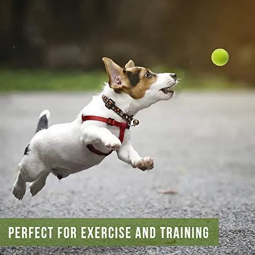 Hyper Pet Tennis Balls For Dogs, Pet Safe Dog Toys For Exercise & Training, Brightly Colored, Easy To Locate
