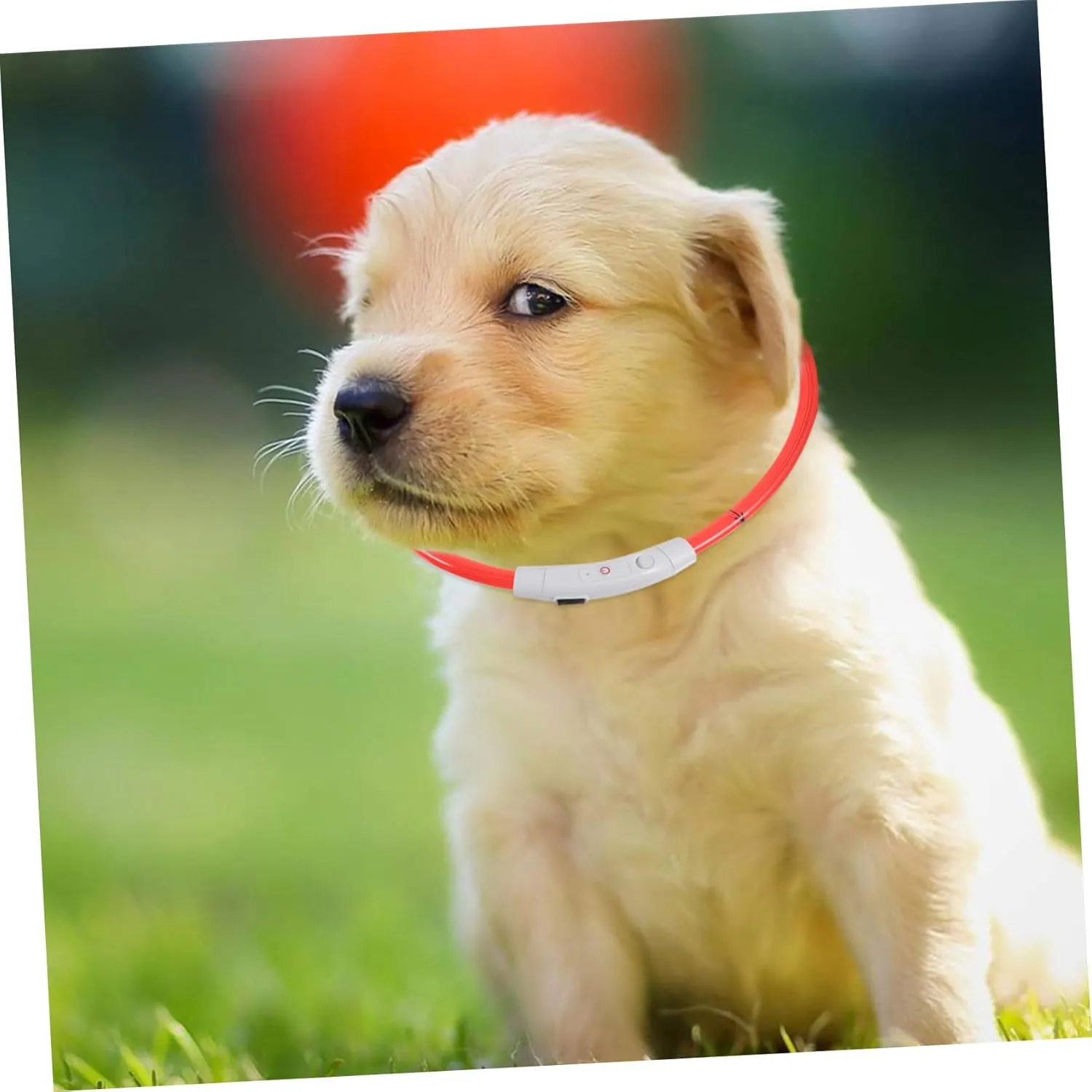 KESYOO USB Rechargeable LED Dog Collar Glowing Pet Safety Collar for Dogs Puppies Cats Stylish Design for Nighttime Visibility for Walks and Camping