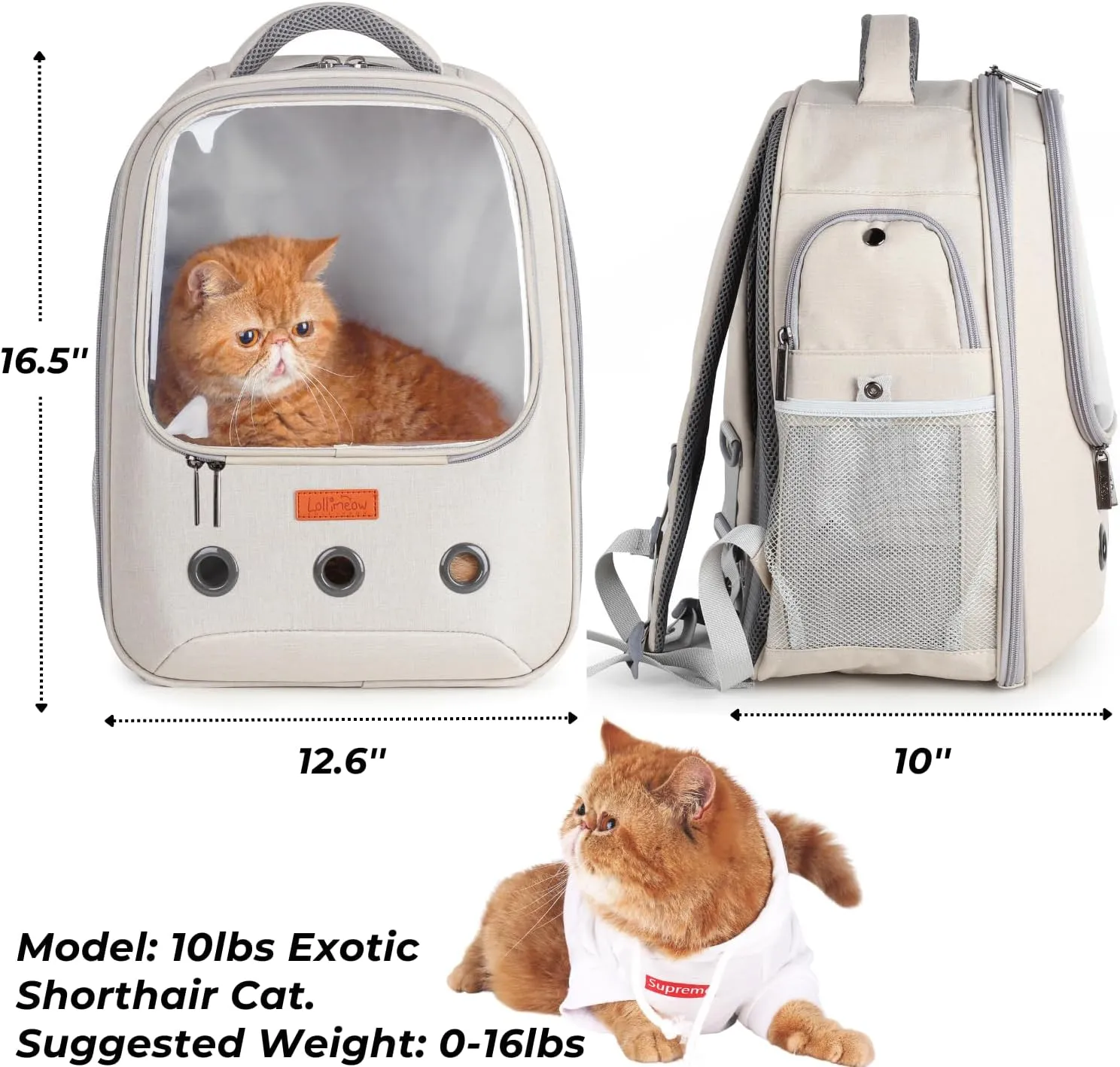 Lollimeow Pet Carrier Backpack, Bubble Backpack Carrier, Cats and Puppies,Airline-Approved, Designed for Travel, Hiking, Walking & Outdoor Use (Beige)