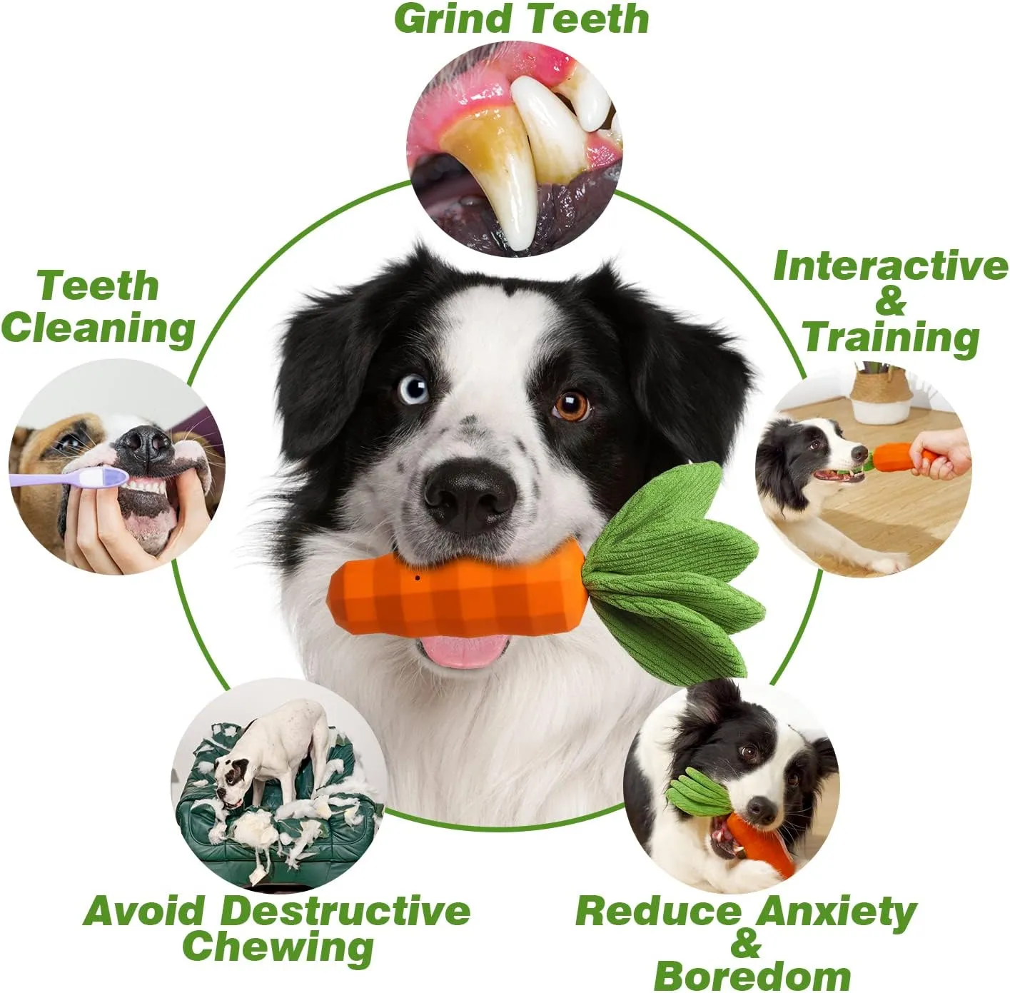 MewaJump Dog Squeaky Chew Toys for Aggressive Chewers, Rubber Carrot Dog Toys for Training and Cleaning, Durable Interactive Tough Dog Toy for Puppy Medium Dogs