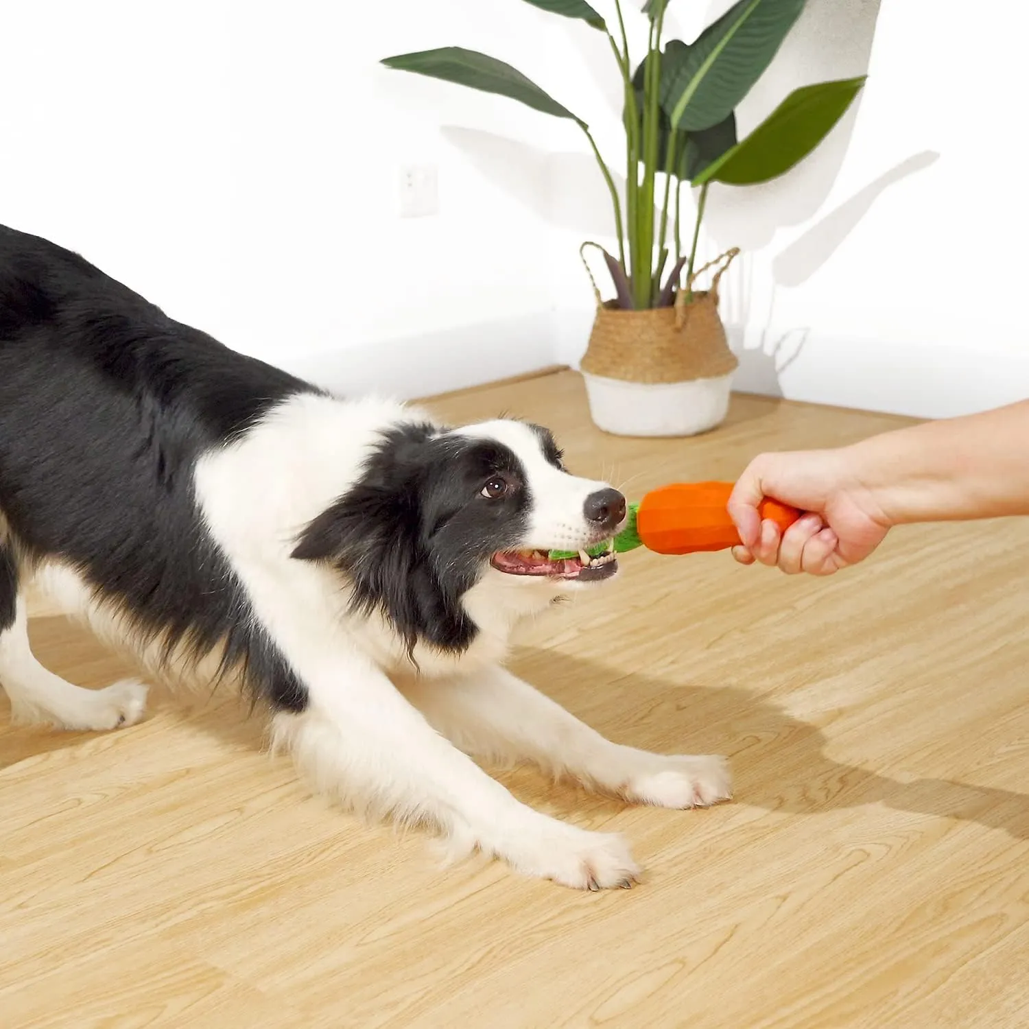 MewaJump Dog Squeaky Chew Toys for Aggressive Chewers, Rubber Carrot Dog Toys for Training and Cleaning, Durable Interactive Tough Dog Toy for Puppy Medium Dogs