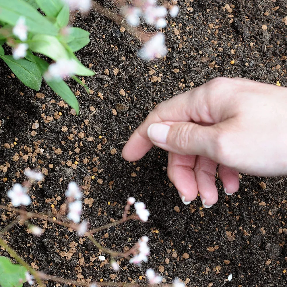 Miracle-Gro Flower Magic Seeds