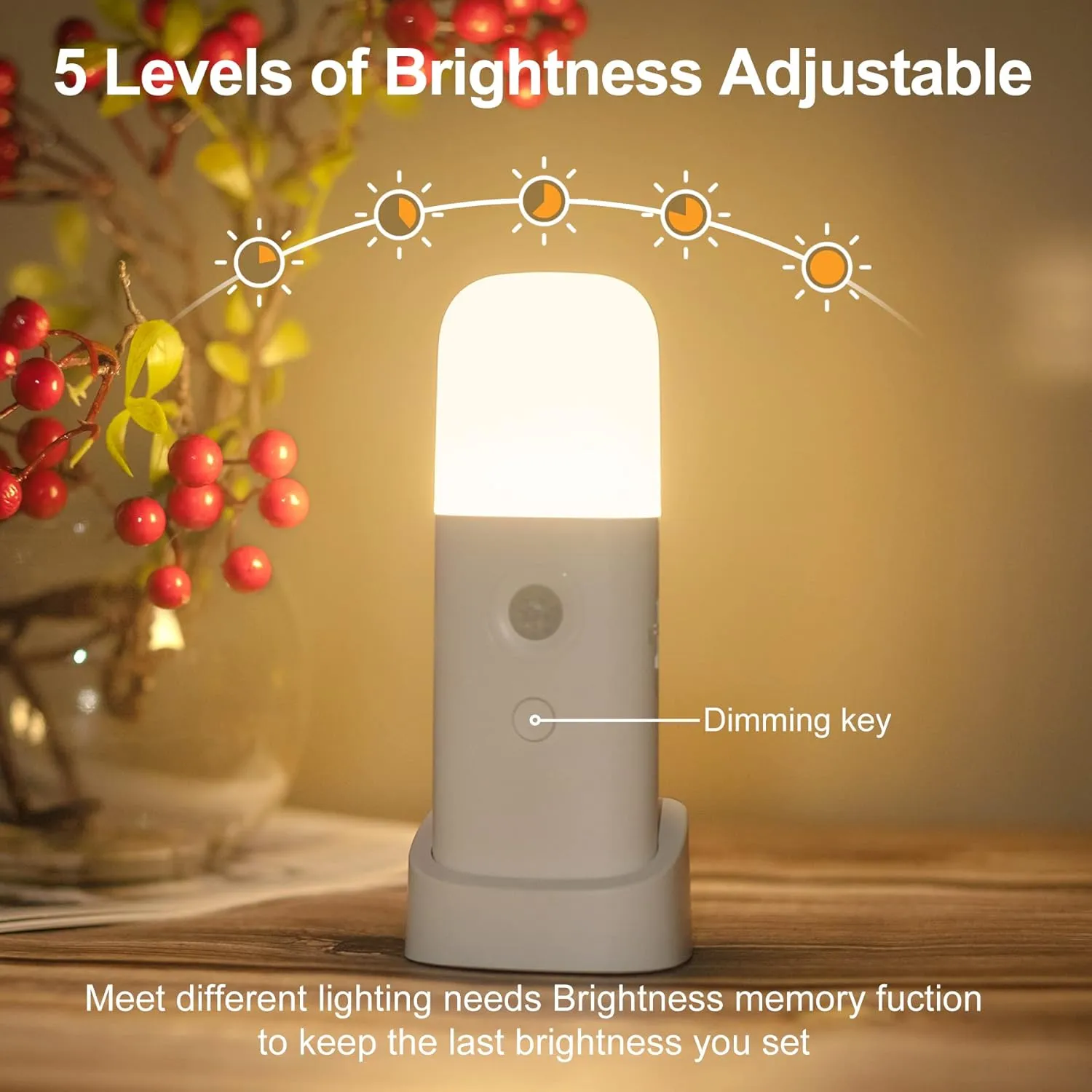 Motion Sensor Night Light, Dimmable Night Lights with 5 Brightness Levels, 2000mAh Rechargeable Battery Operated Light, Portable Motion Sensor Light for Kids Room, Bedroom, Hallway.
