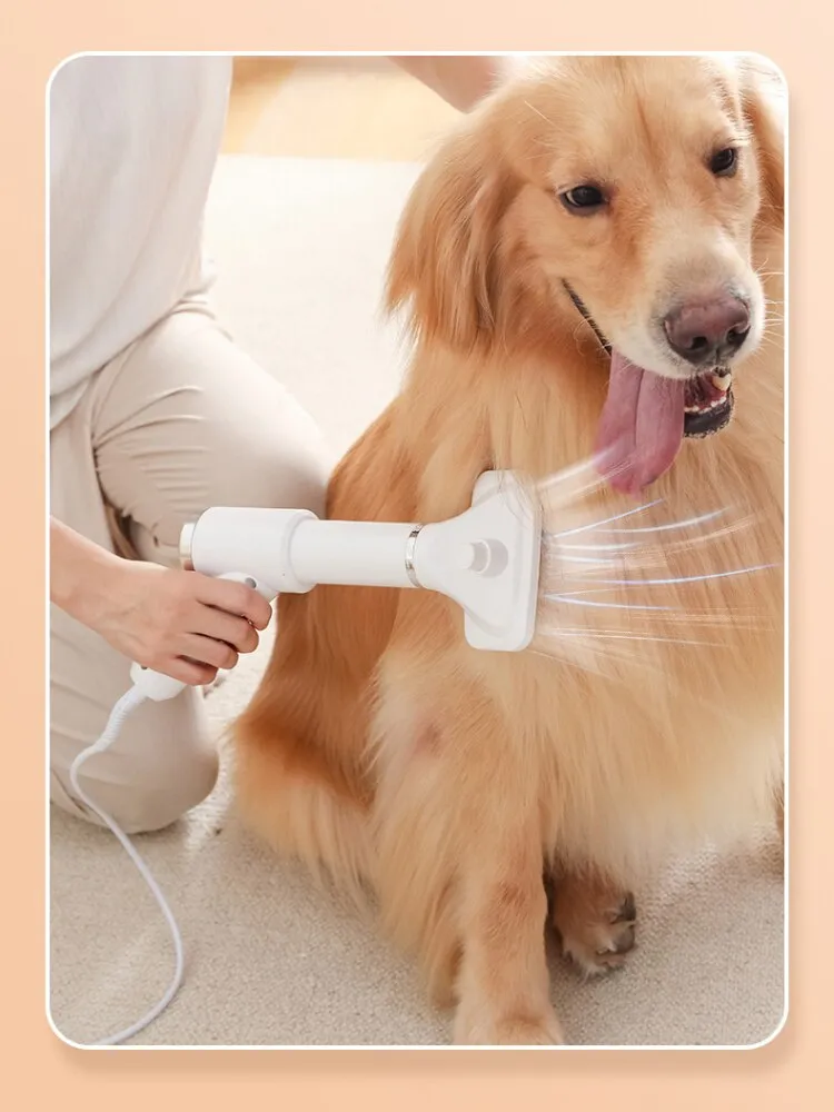 New Upgrade 2-in-1 Dog Hair Dryer Adjustable Speed Temperature Cat Dog Grooming hair dryer Comb Brush Low Noise Pet Products
