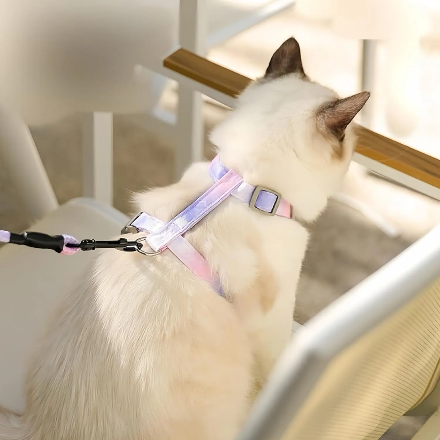 No Pull Dog Harness and Leash with AirTag Holder for Small/Teacup Cats & Dogs, Cooling & Light Weight Vest, Perfect for Summer, Arns para Perro (Purple, XXS)