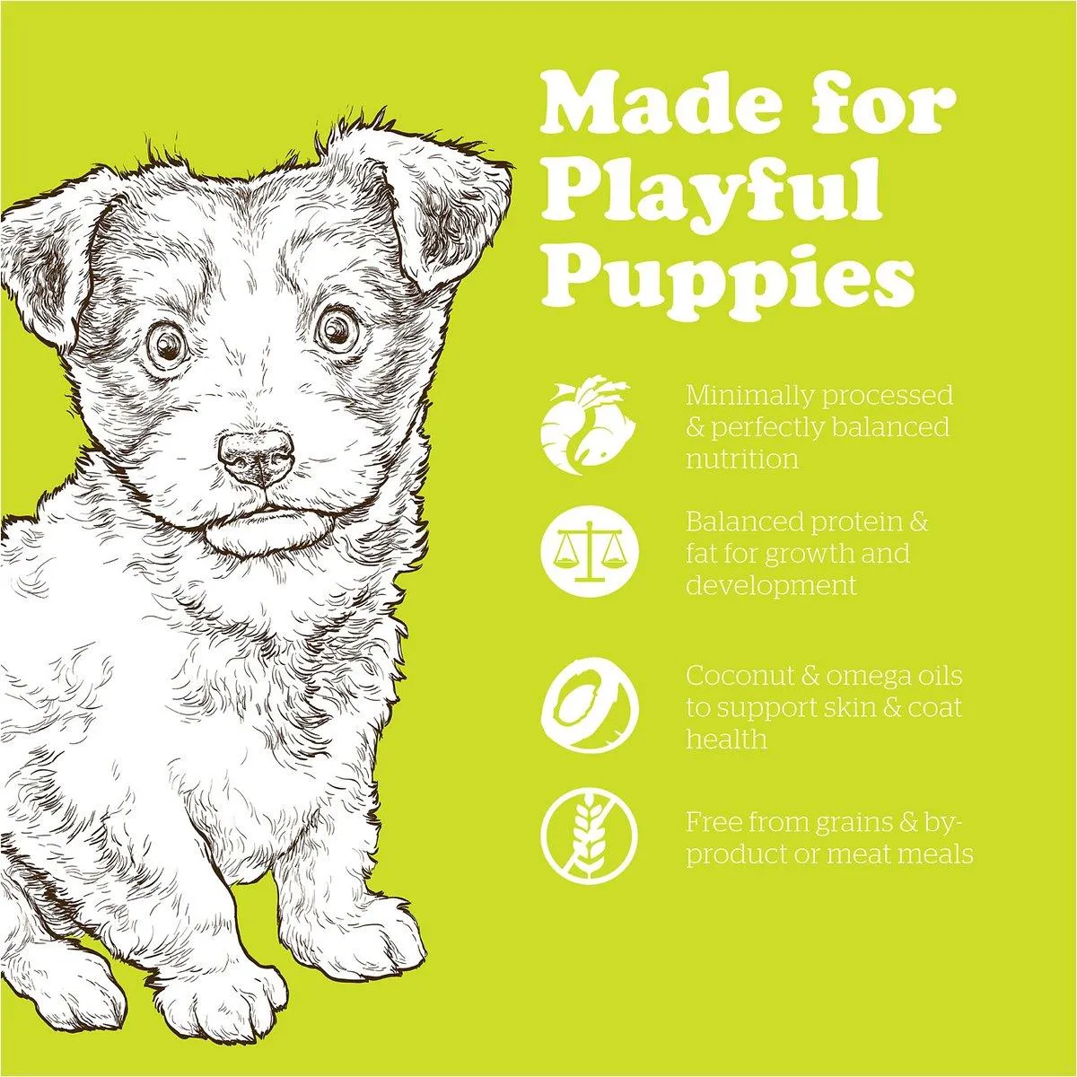 Now Fresh Grain Free Small Breed Puppy Food