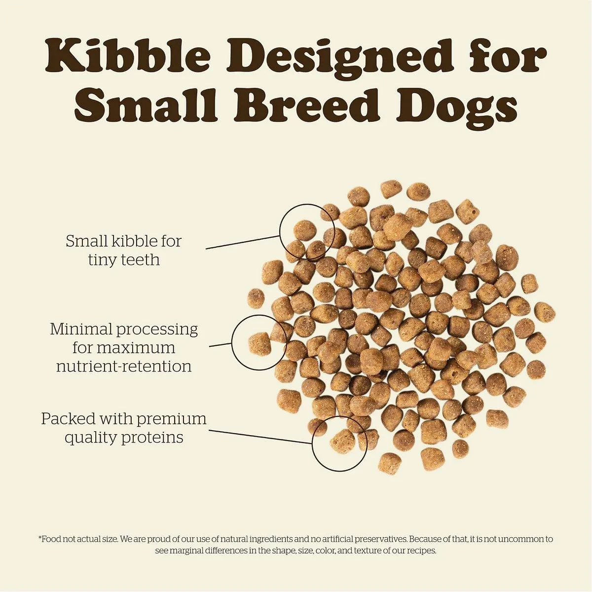 Now Fresh Grain Free Small Breed Puppy Food