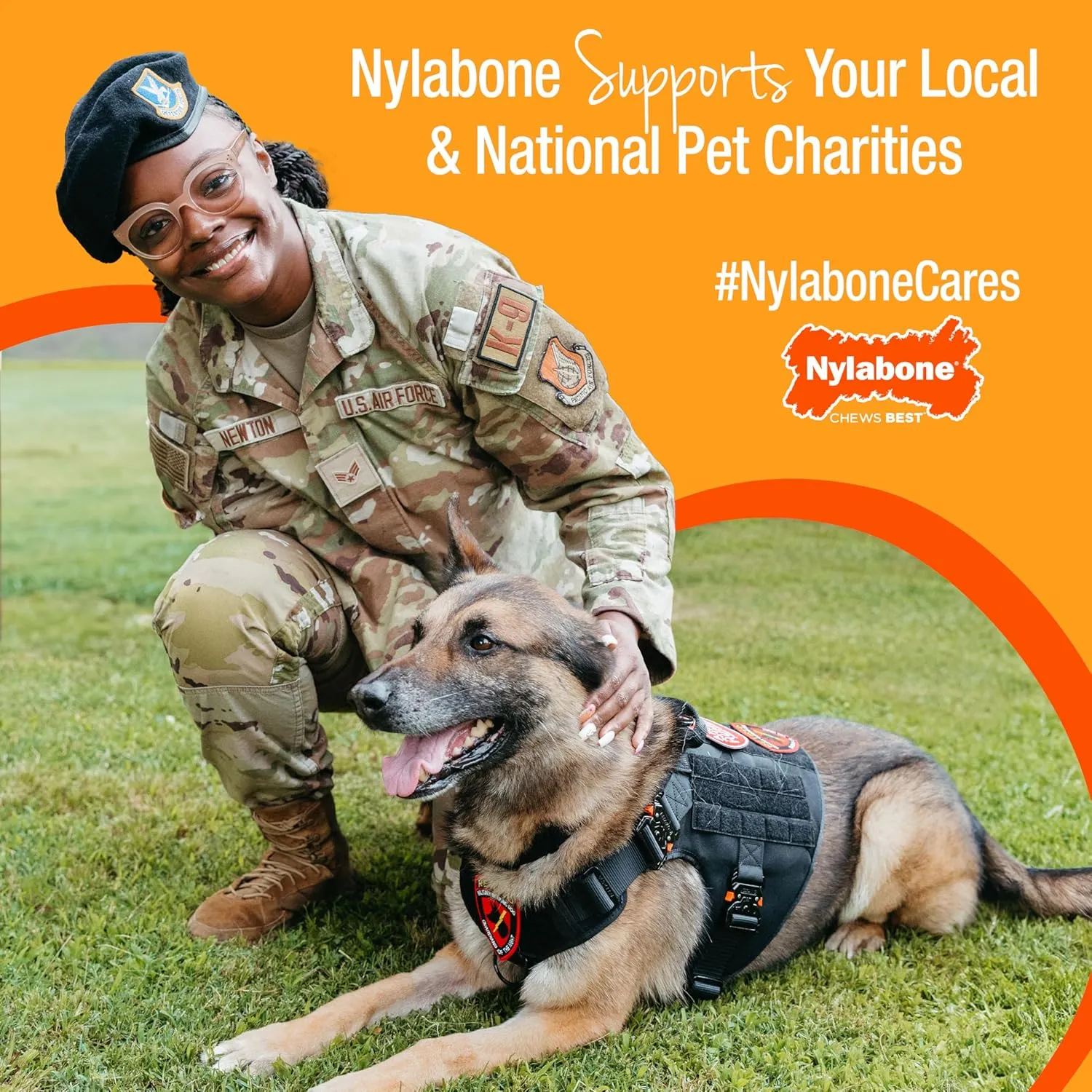 Nylabone Healthy Edibles WILD Antler Natural Long Lasting Venison Flavor Dog Chew Treats Medium/Wolf (2 Count)