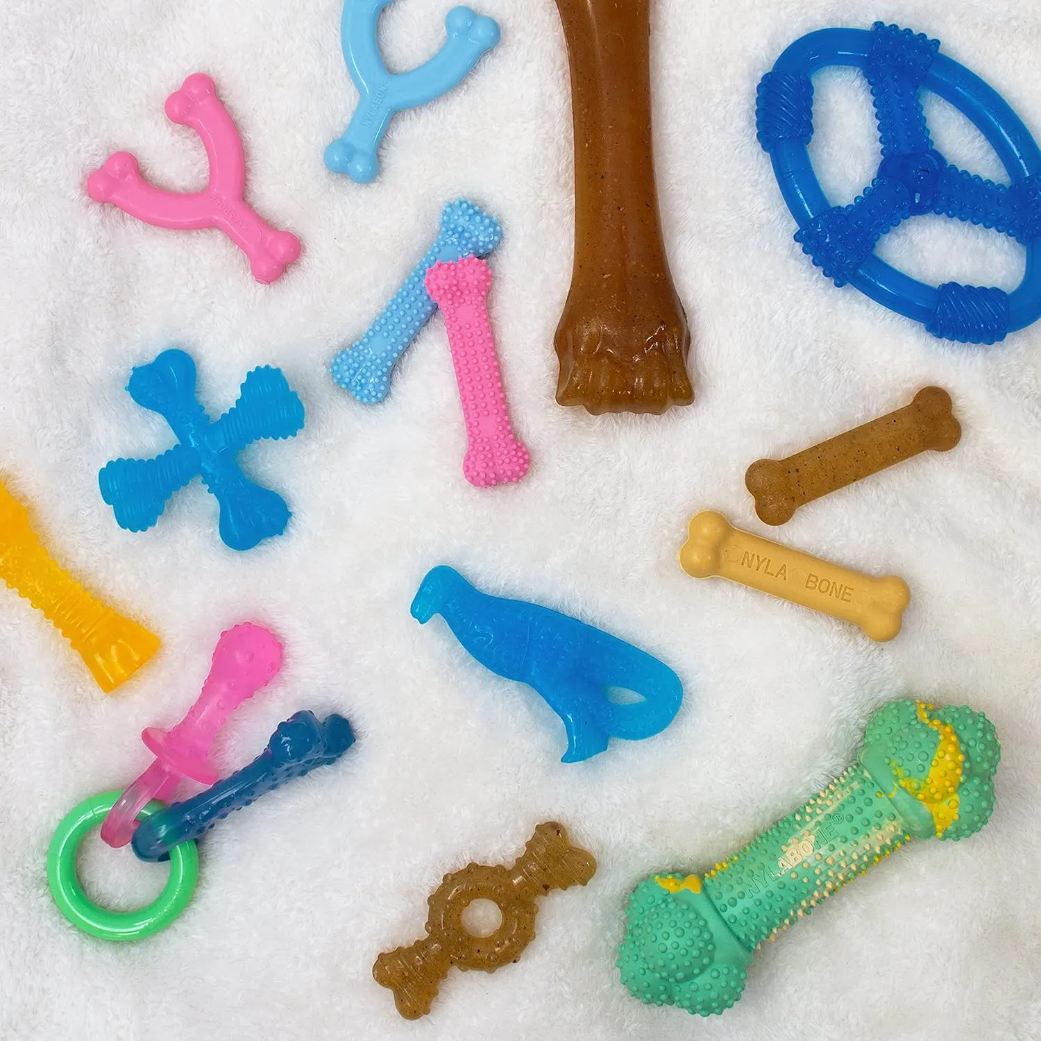 Nylabone Ring Bone Chew Toy for Puppies, Puppy Teething Toys, Chicken Flavor, X-Small - Up to 15 lbs, 1 Count
