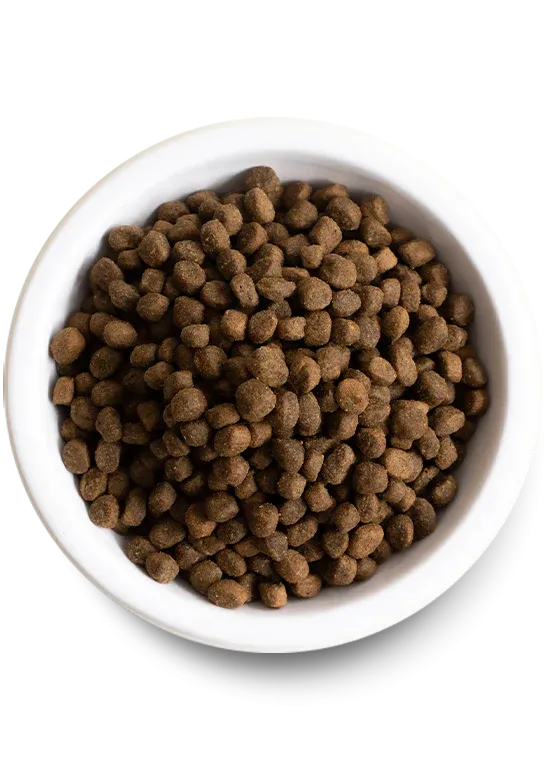 Open Farm - Salmon and Ancient Grains Puppy Dry Dog Food