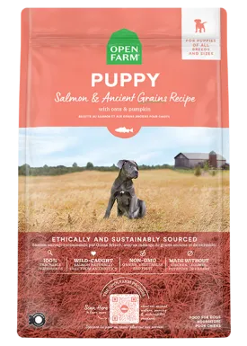 Open Farm - Salmon and Ancient Grains Puppy Dry Dog Food