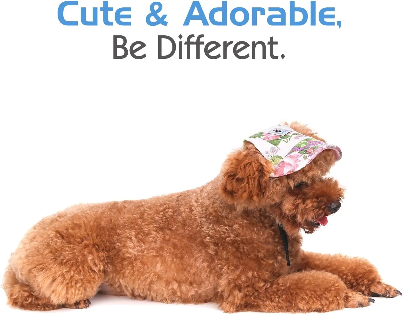 Pawaboo Dog Baseball Cap, Adjustable Dog Outdoor Sport Sun Protection Baseball Hat Cap Visor Sunbonnet Outfit with Ear Holes for Puppy Small Dogs, Small, Floral Purple