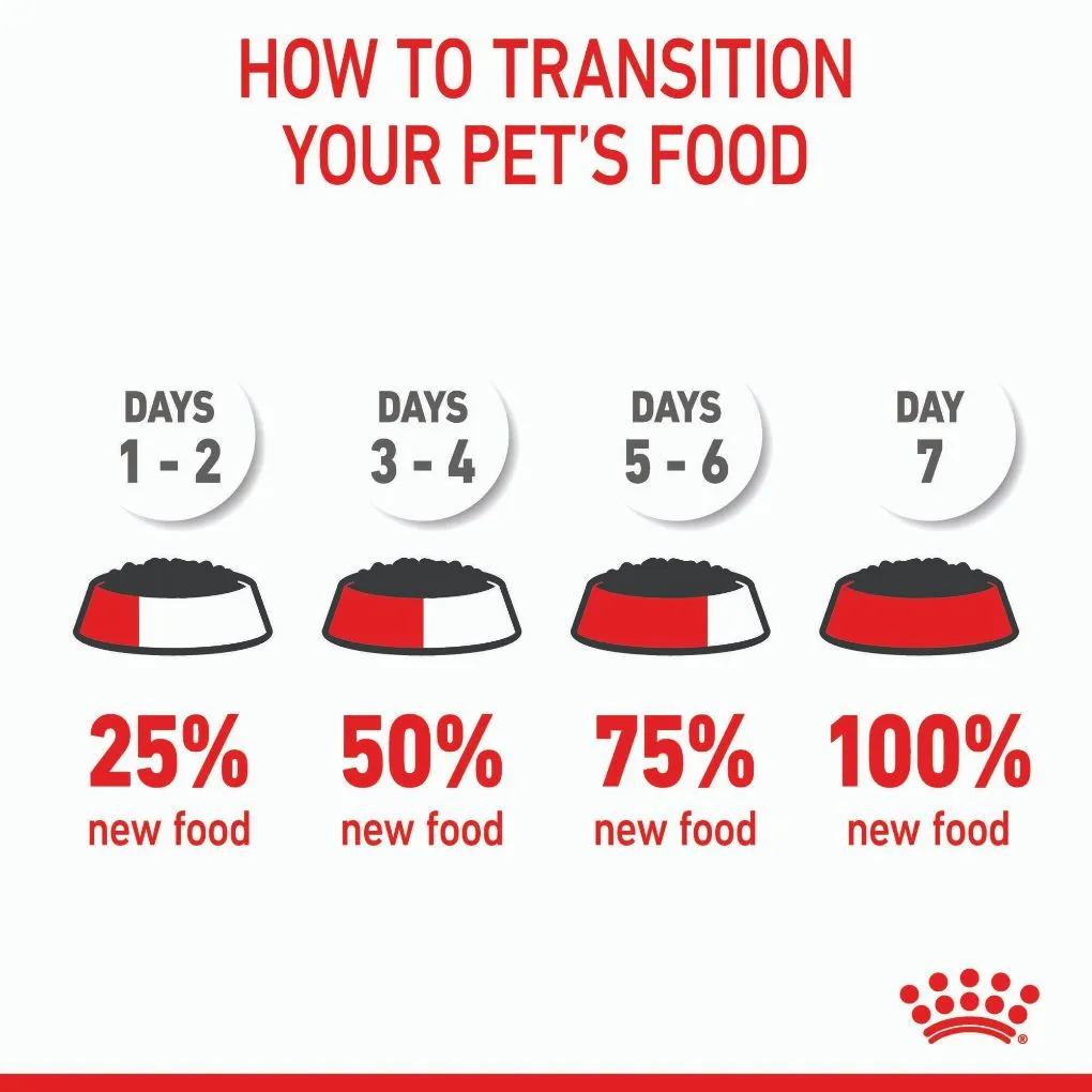 Royal Canin Kitten Loaf Pouches
