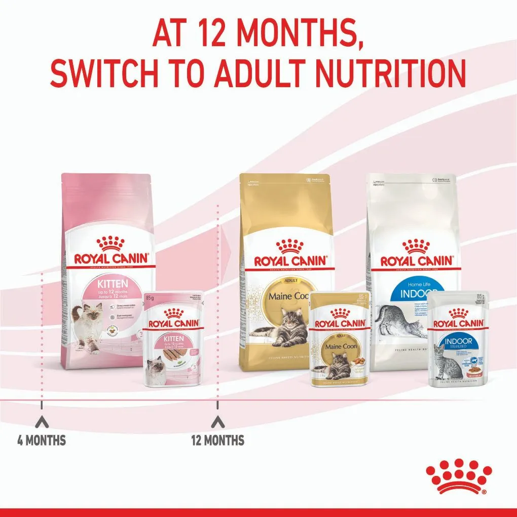 Royal Canin Kitten Loaf Pouches