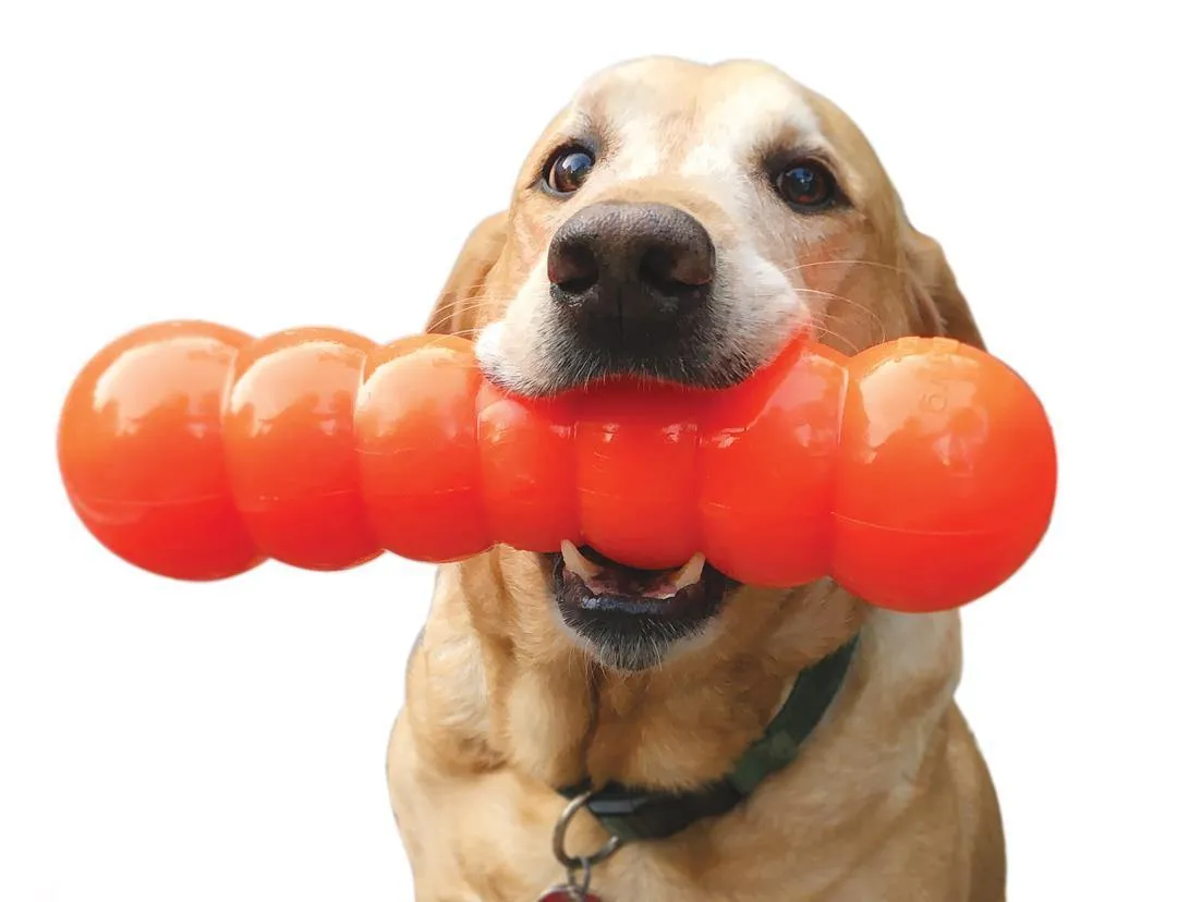 RuffDawg Dawg-Buster