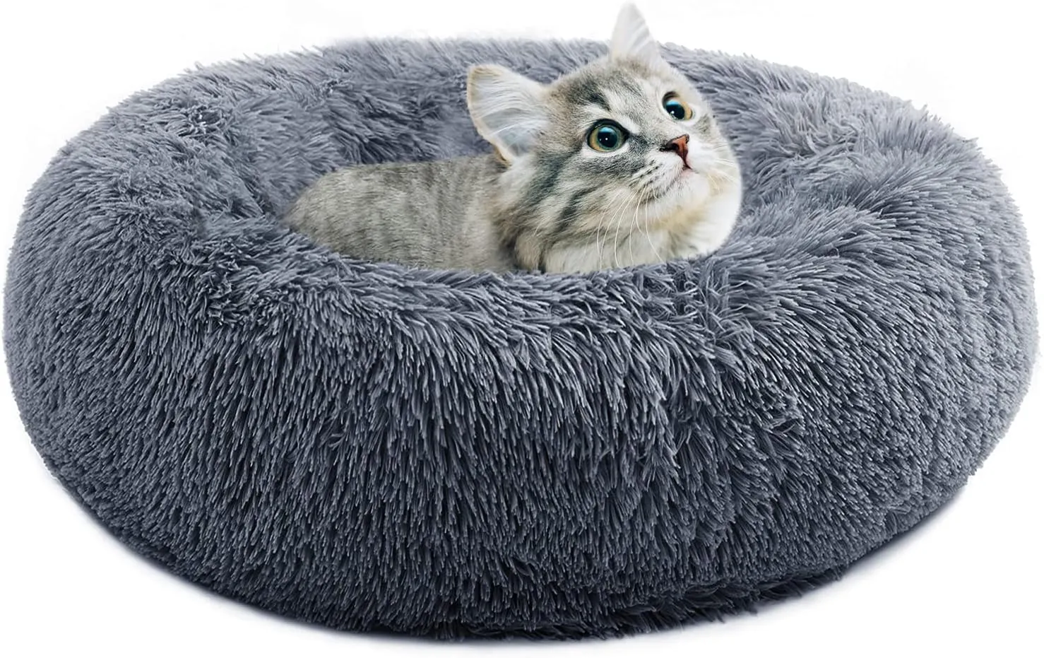 Small Cat Bed for Indoor Cats, Self-Warming Donut Kitty Bed for Small Cats Keeping Warm, Washable Pet Bed with Anti Slip Base, 20 Darkgrey