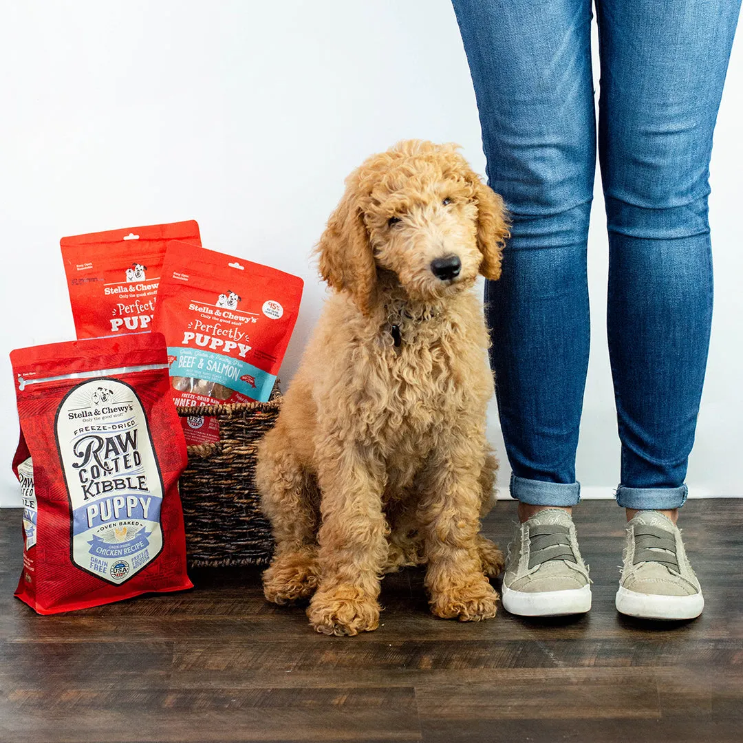 Stella & Chewy's CAGE-FREE CHICKEN RAW COATED KIBBLE PUPPY DRY DOG FOOD