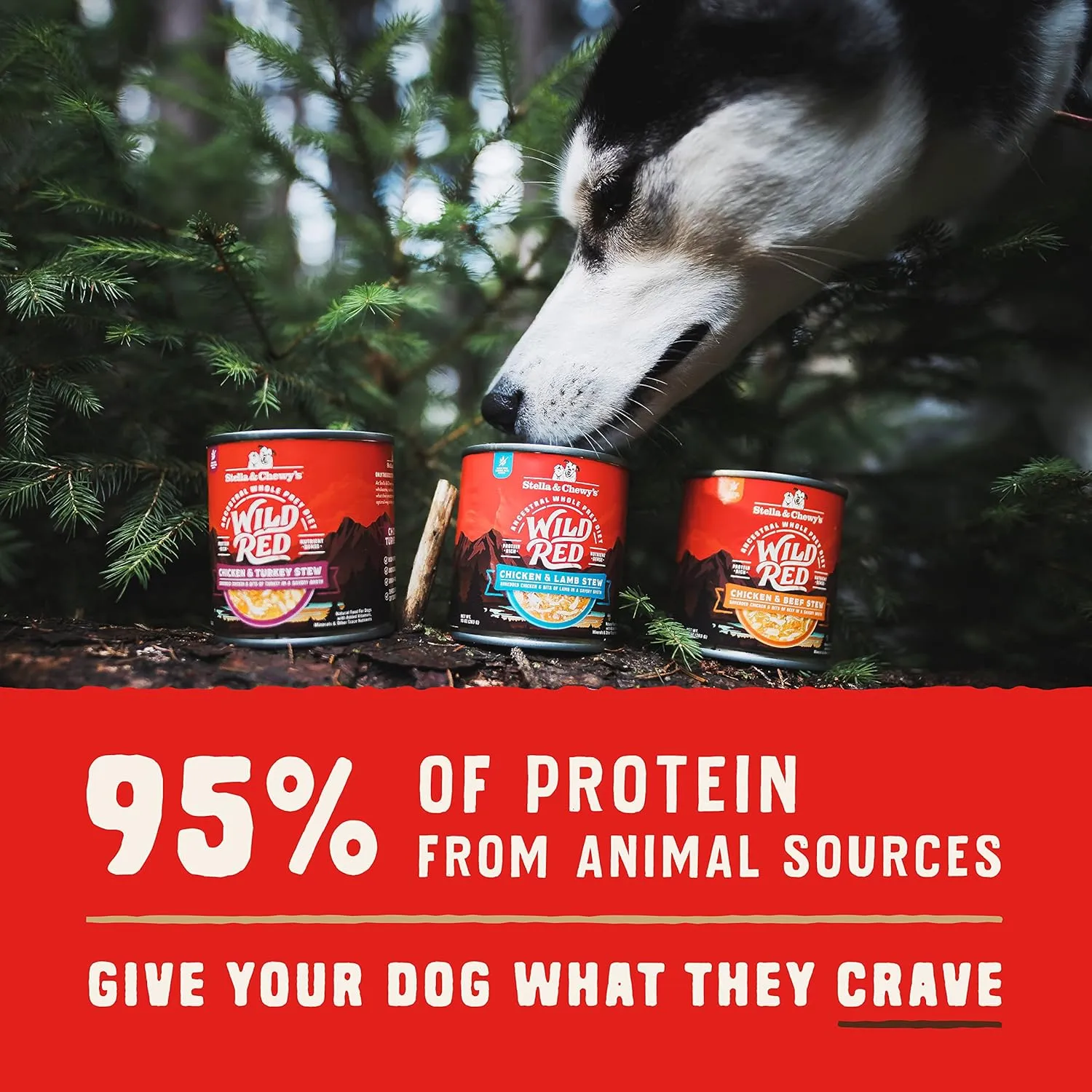 Stella & Chewy's Wild Red Wet Dog Food Chicken & Lamb Stew High Protein Recipe, 10 Ounce (Pack of 6)