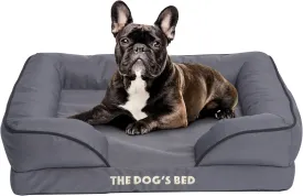 The Dogs Bed, Orthopedic Standard Foam Waterproof Dog Bed with Standard Support, Medium Grey with Black Trim, Waterproof, Supportive Dog Bed with Replaceable Covers, Veterinary Approved