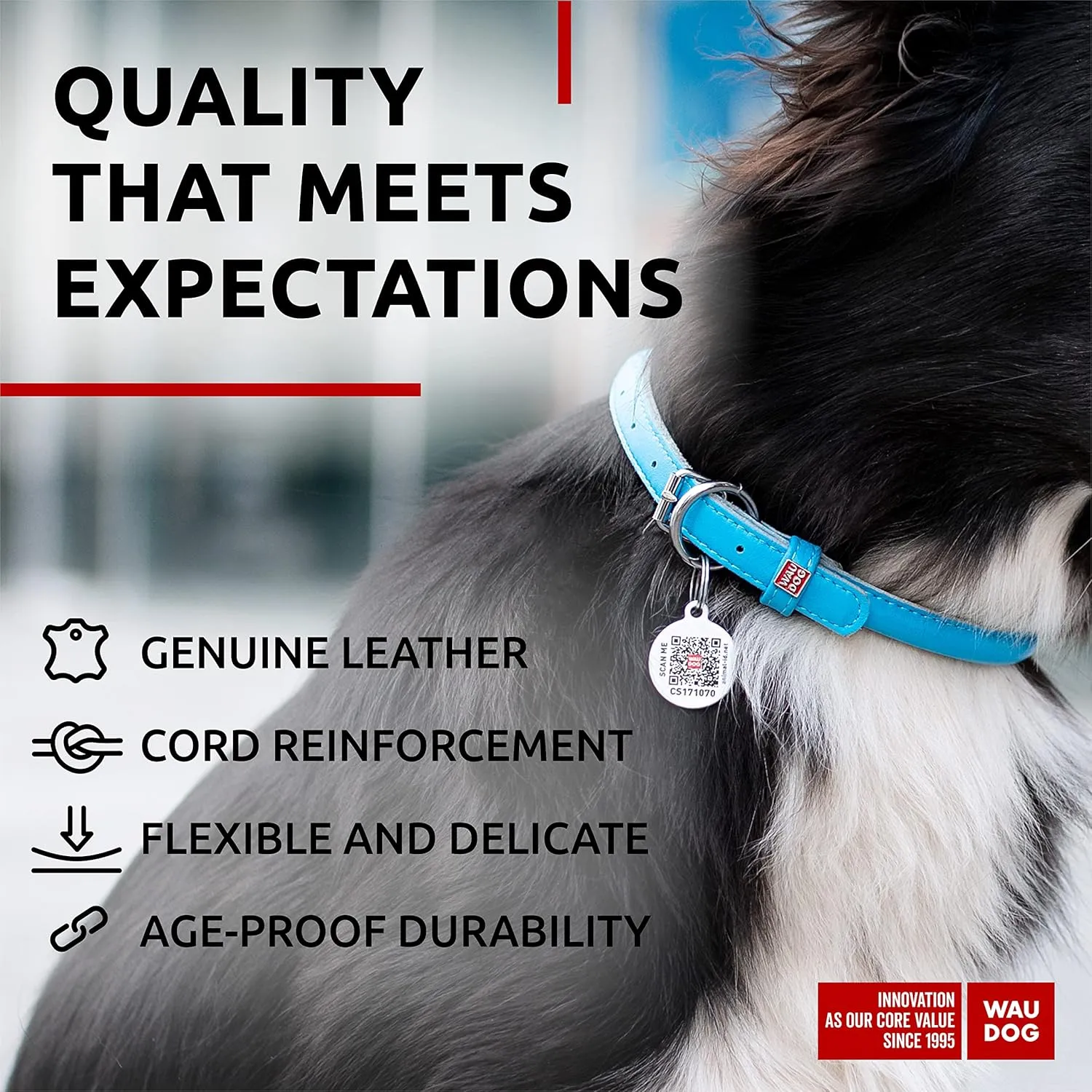 WAUDOG Ultra Soft Rolled Leather Collar - Soft Padded for Small, Medium, and Large Dogs - Puppy Collar for Male and Female Dogs