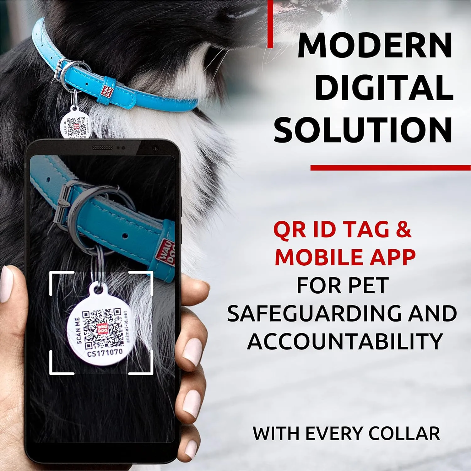 WAUDOG Ultra Soft Rolled Leather Collar - Soft Padded for Small, Medium, and Large Dogs - Puppy Collar for Male and Female Dogs